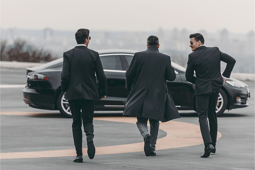 Reception and Security of Delegations and VIPs